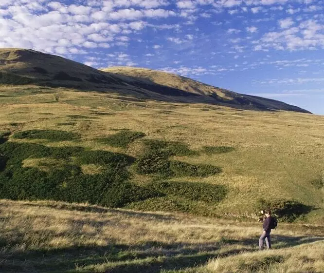 Dollar Apartments At 39