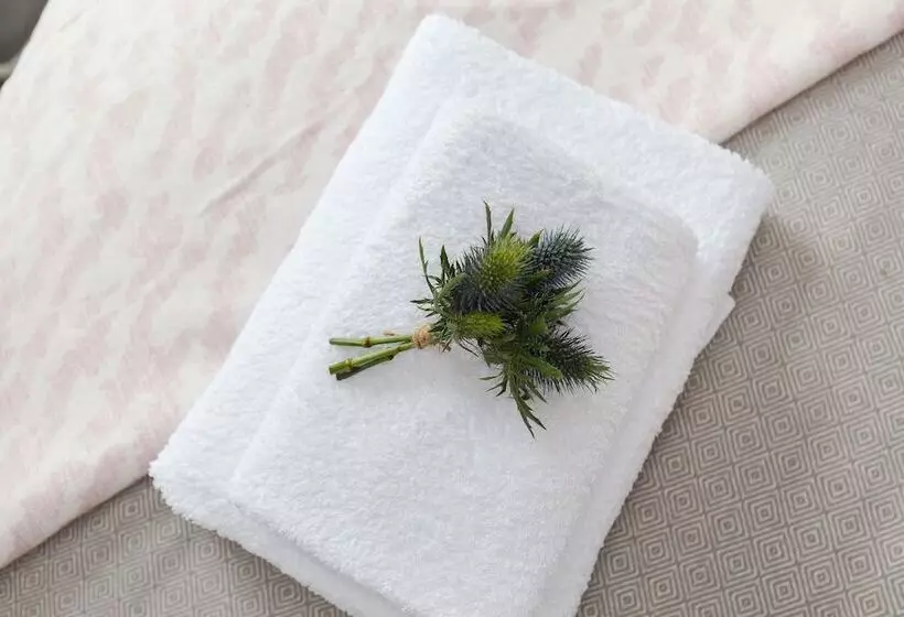 Dollar Apartments At 39