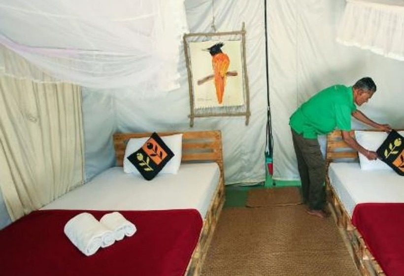 Otel Misty Elegance  Ella