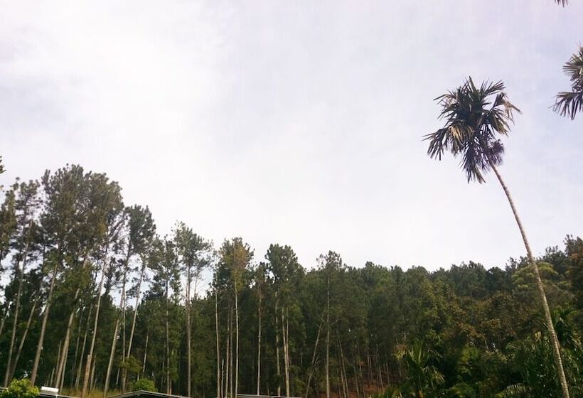 Otel Misty Elegance  Ella