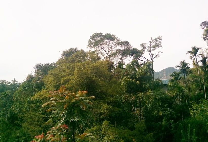 Otel Misty Elegance  Ella