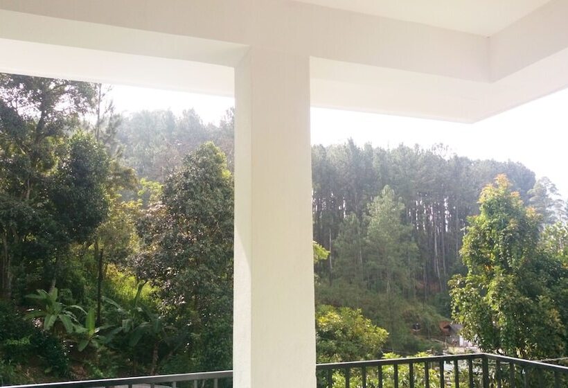 Otel Misty Elegance  Ella