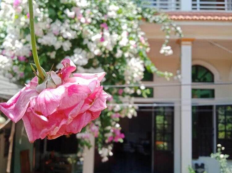 پانسیون Phi Hung's Unique Homestay