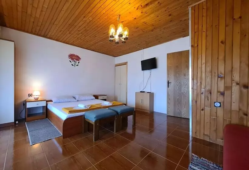 Apartments Zlatko 1397