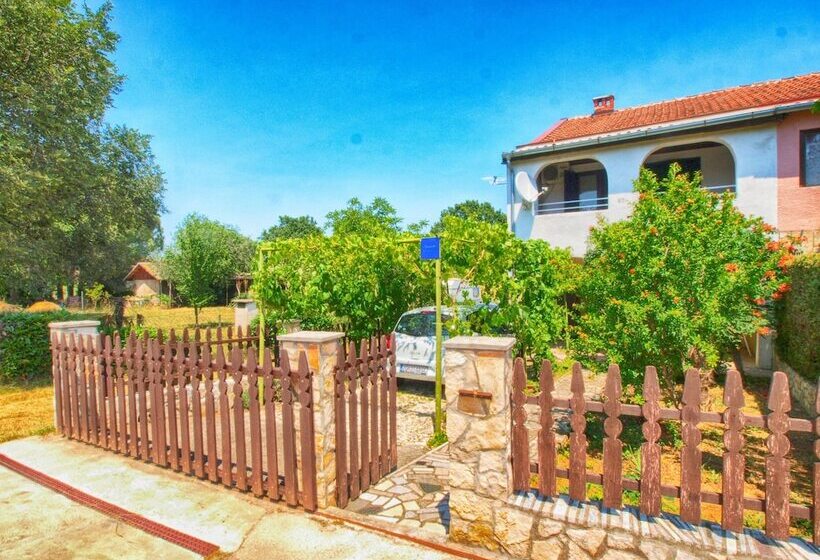 Apartments Zlatko 1397