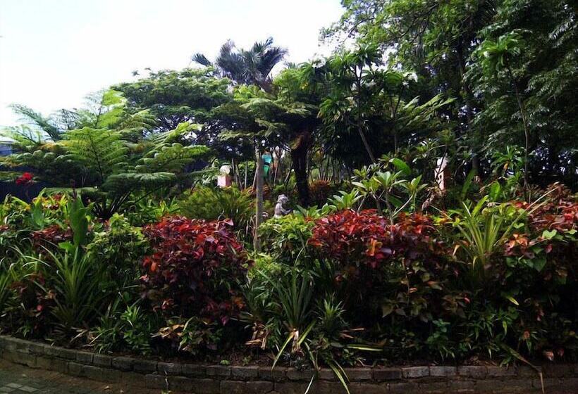 פנסיון Stephward Estate Country House