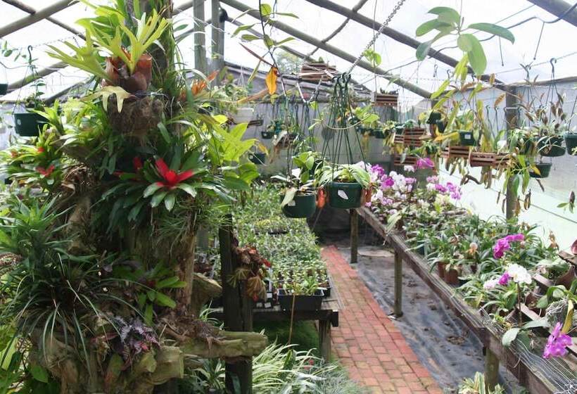 פנסיון Stephward Estate Country House