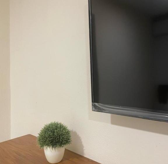 Moloch Hostel & Suites