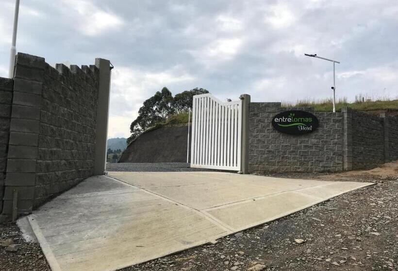 Hotel Entre Lomas