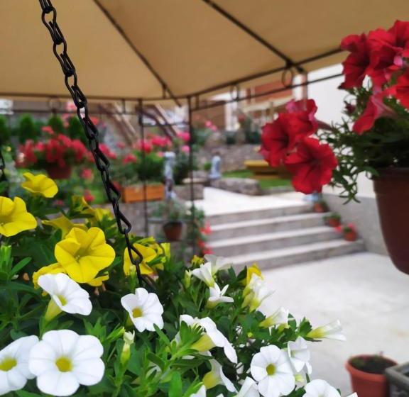 هاستل Apartment   Jona