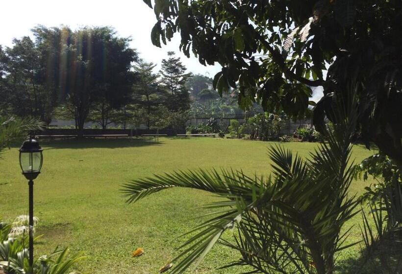 Hotel Nite & Day Mdc Gadog