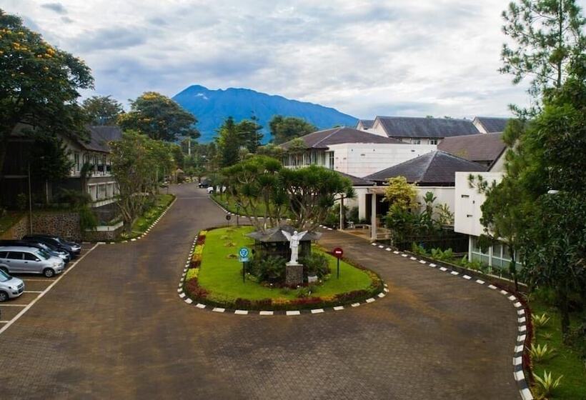 Hotel Nite & Day Mdc Gadog