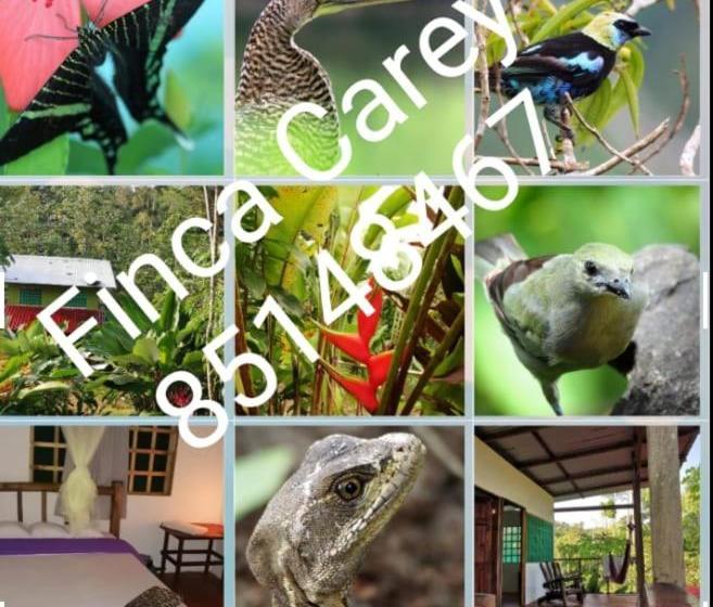 הוסטל Greenpoint Drake Bay