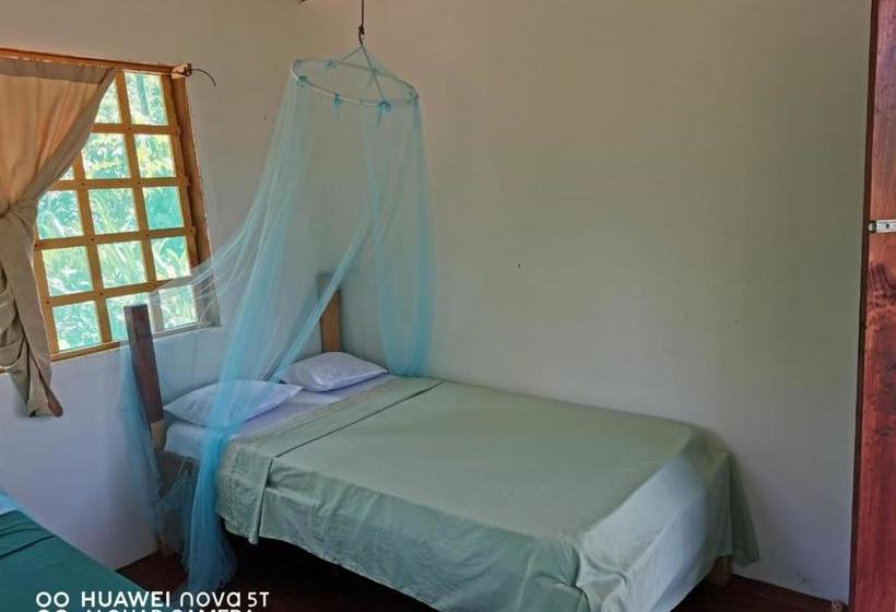 הוסטל Greenpoint Drake Bay