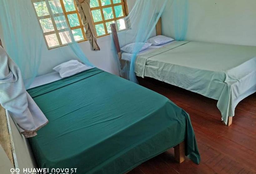 הוסטל Greenpoint Drake Bay