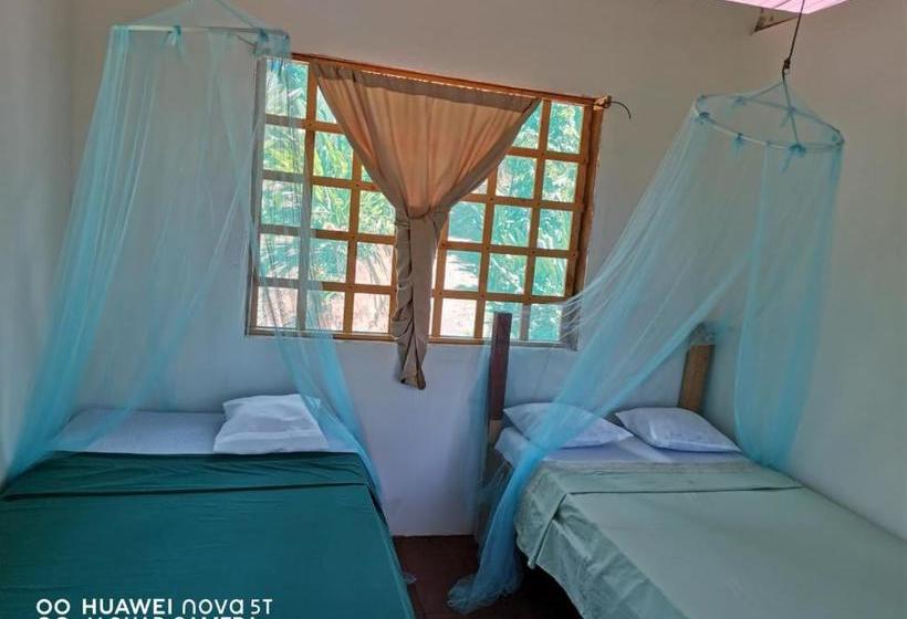 הוסטל Greenpoint Drake Bay