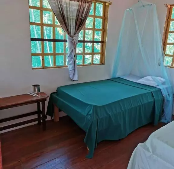 ユースホステル Greenpoint Drake Bay