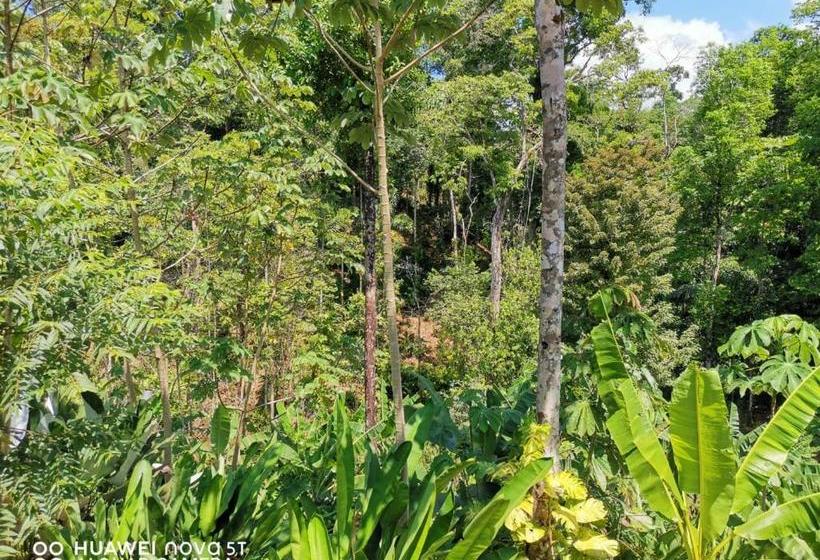 הוסטל Greenpoint Drake Bay