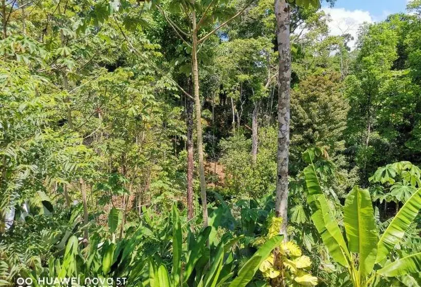 ユースホステル Greenpoint Drake Bay