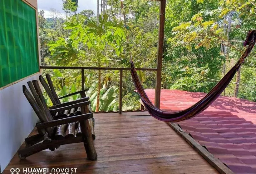 ユースホステル Greenpoint Drake Bay