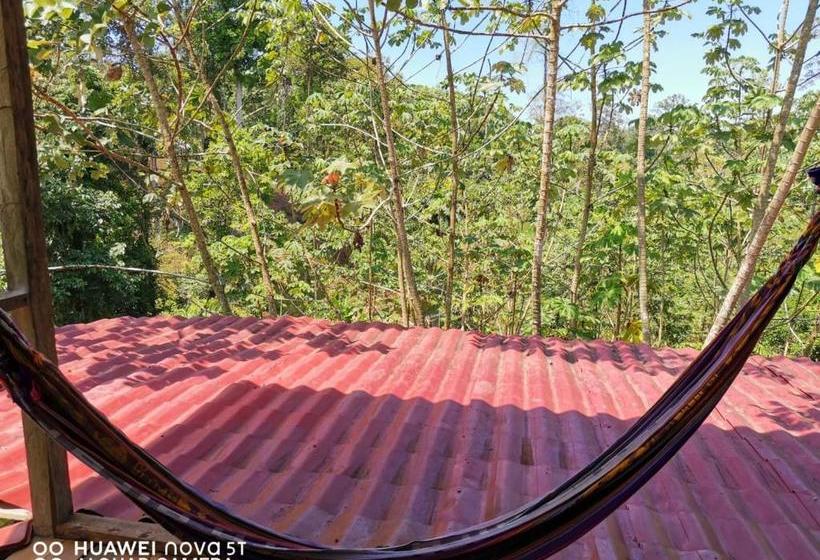 הוסטל Greenpoint Drake Bay