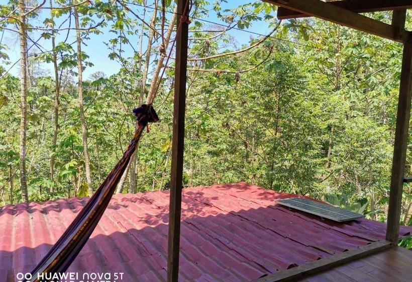 הוסטל Greenpoint Drake Bay