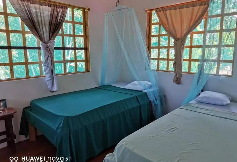 ユースホステル Greenpoint Drake Bay