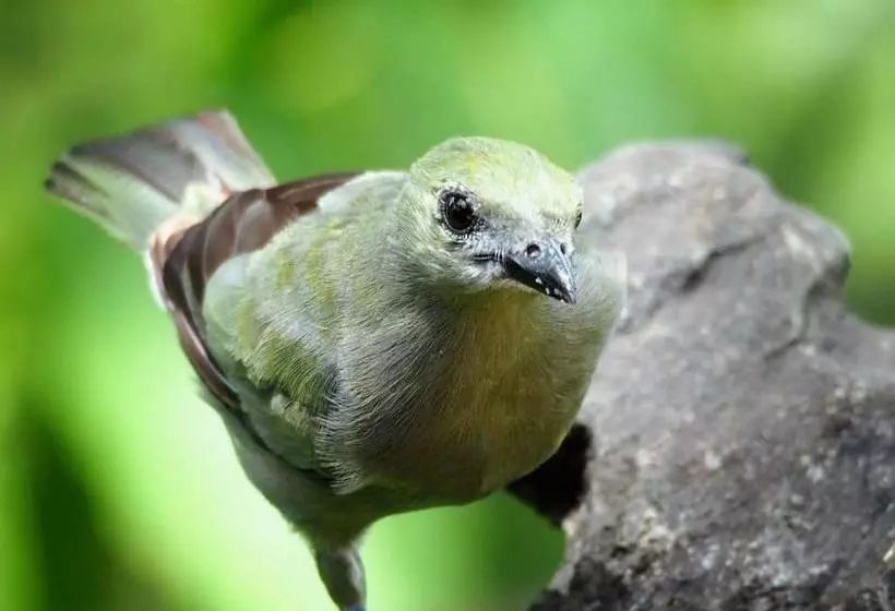 ユースホステル Greenpoint Drake Bay