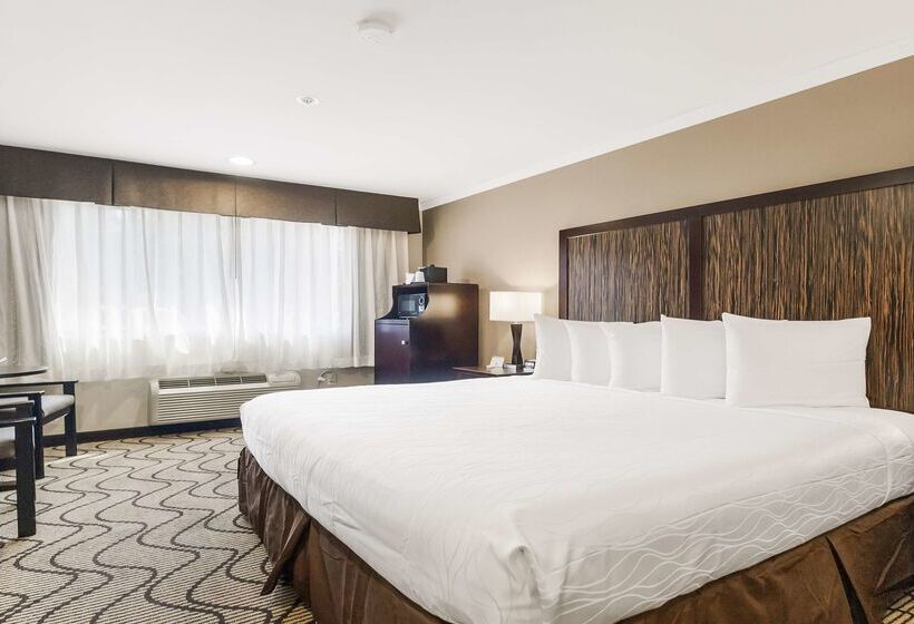 Best Western Plus Orchid Hotel & Suites