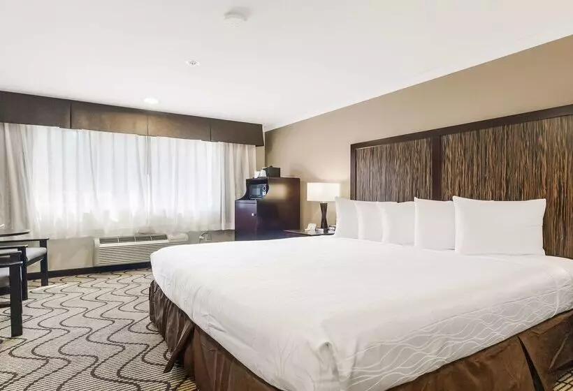 Best Western Plus Orchid Hotel & Suites