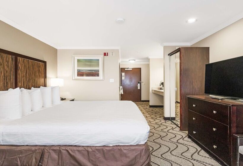 Best Western Plus Orchid Hotel & Suites