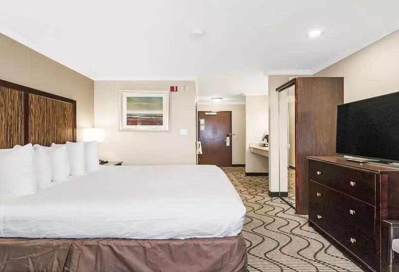 Best Western Plus Orchid Hotel & Suites