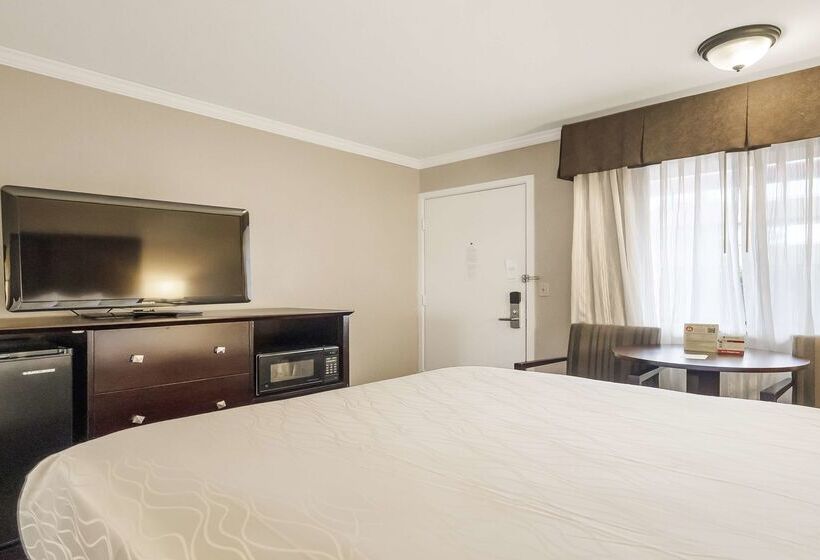 Best Western Plus Orchid Hotel & Suites