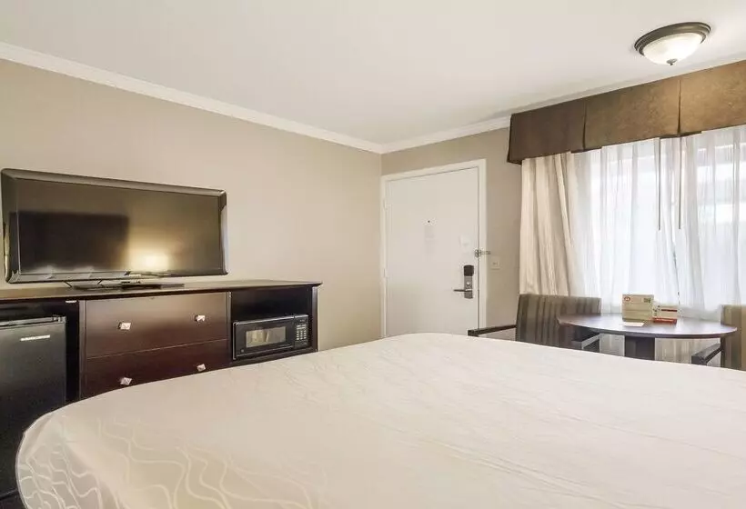 Best Western Plus Orchid Hotel & Suites