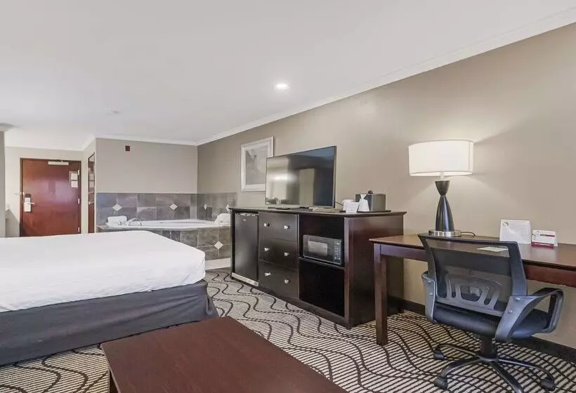 Best Western Plus Orchid Hotel & Suites