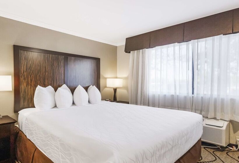 Best Western Plus Orchid Hotel & Suites