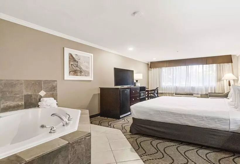 Best Western Plus Orchid Hotel & Suites