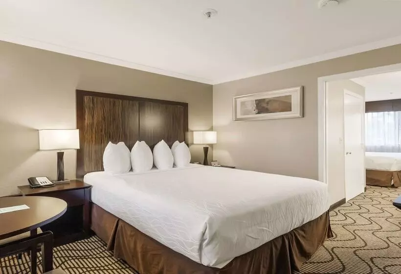 Best Western Plus Orchid Hotel & Suites