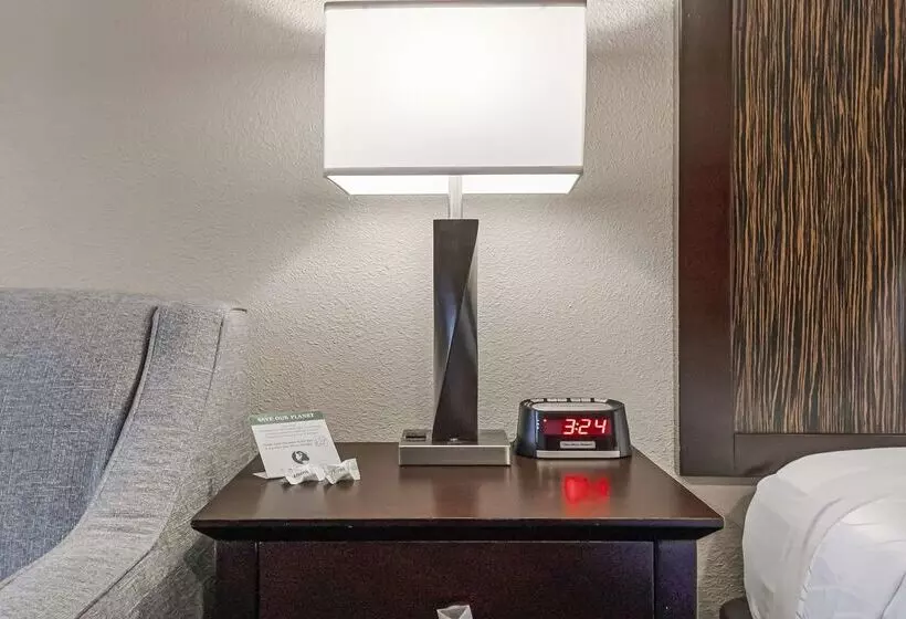 Best Western Plus Orchid Hotel & Suites