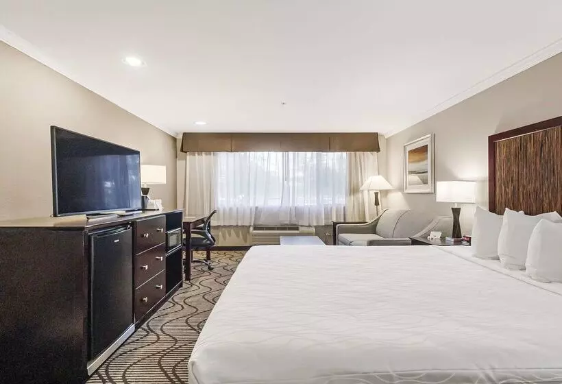 Best Western Plus Orchid Hotel & Suites