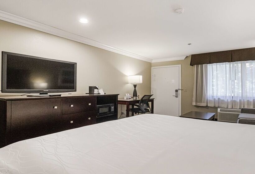 Best Western Plus Orchid Hotel & Suites