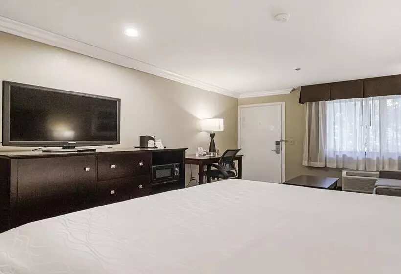 Best Western Plus Orchid Hotel & Suites