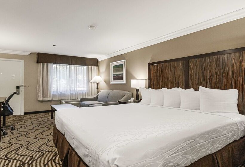 Best Western Plus Orchid Hotel & Suites