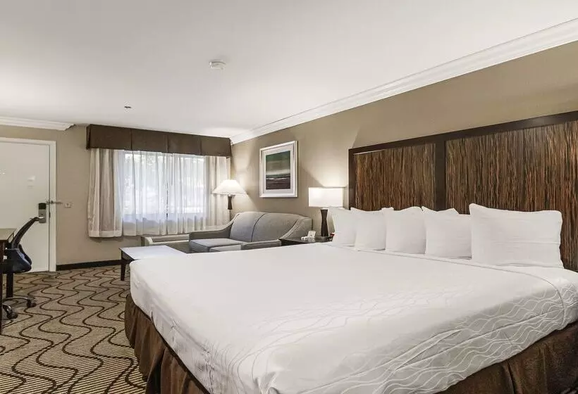 Best Western Plus Orchid Hotel & Suites