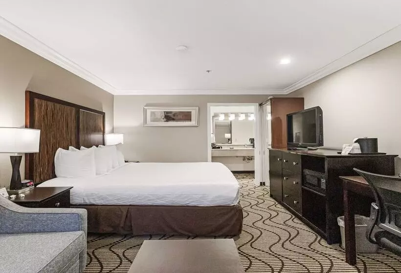 Best Western Plus Orchid Hotel & Suites