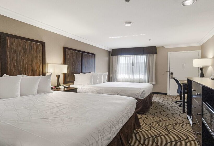 Best Western Plus Orchid Hotel & Suites