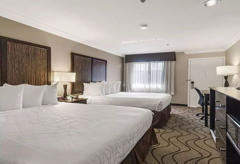 Best Western Plus Orchid Hotel & Suites