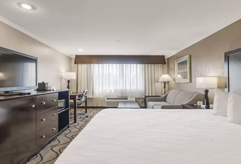 Best Western Plus Orchid Hotel & Suites