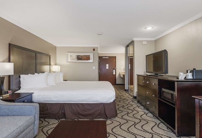 Best Western Plus Orchid Hotel & Suites