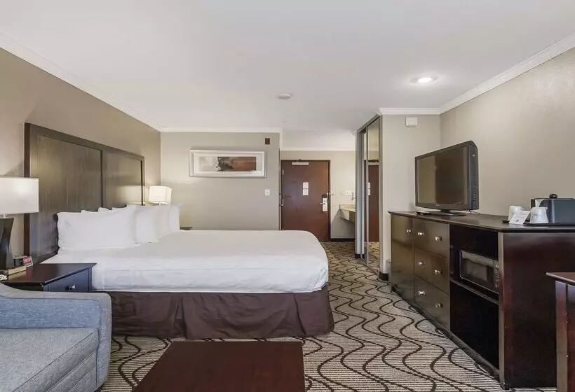 Best Western Plus Orchid Hotel & Suites